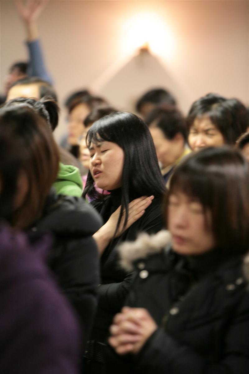 IMG_9045 (Custom).jpg